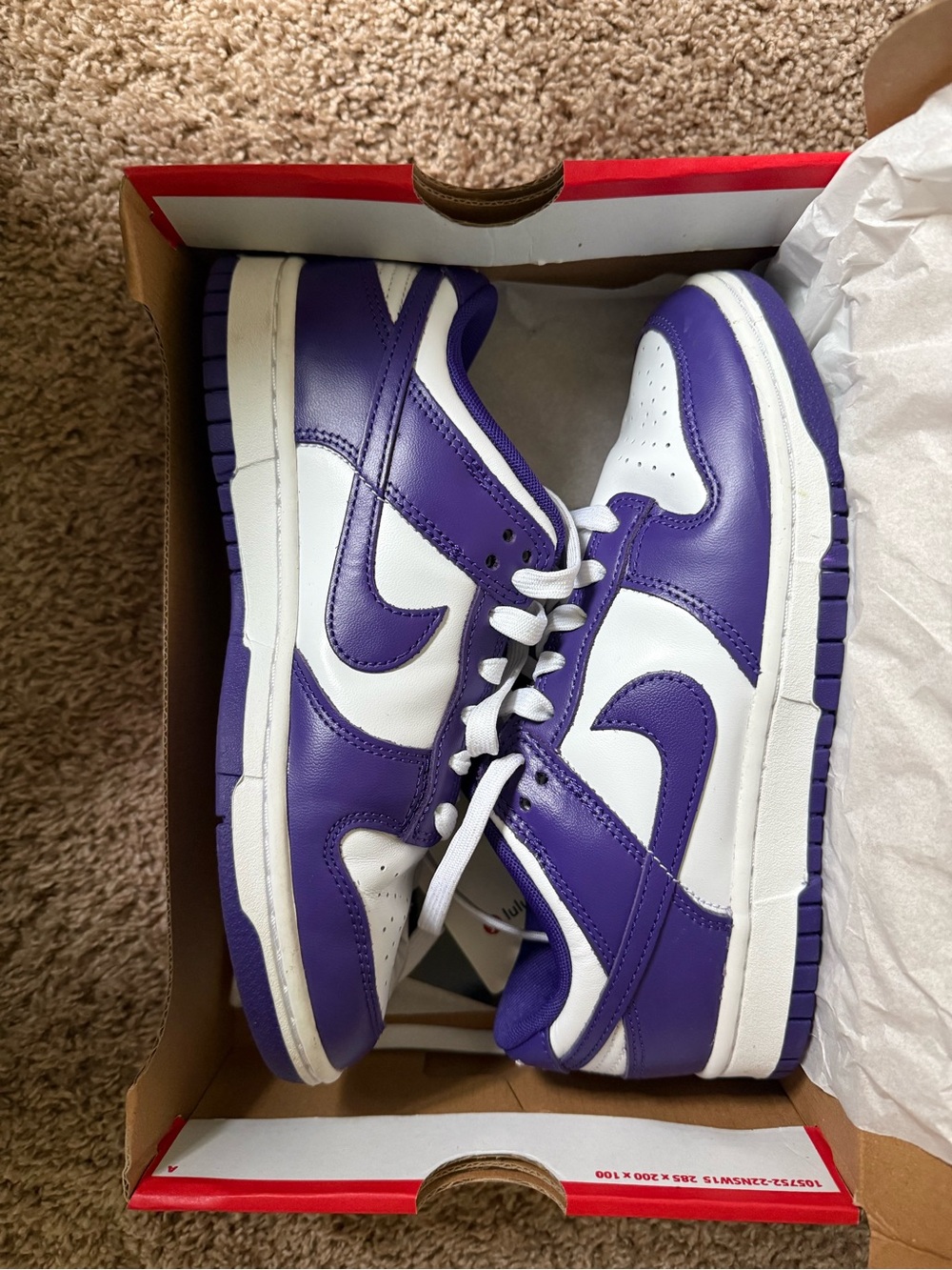 Nike Dunk Low Sneakers in Purple and White